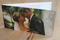 "Wir bedanken uns herzlich bei Dir und Deinem Team für Eure supertolle Arbeit am Tag unserer Hochzeit. Eltern und Kinder waren restlos begeistert und wir haben bis heute nur positive Resonanz für Eure Arbeit bekommen! Habt tausend Dank dafür!"